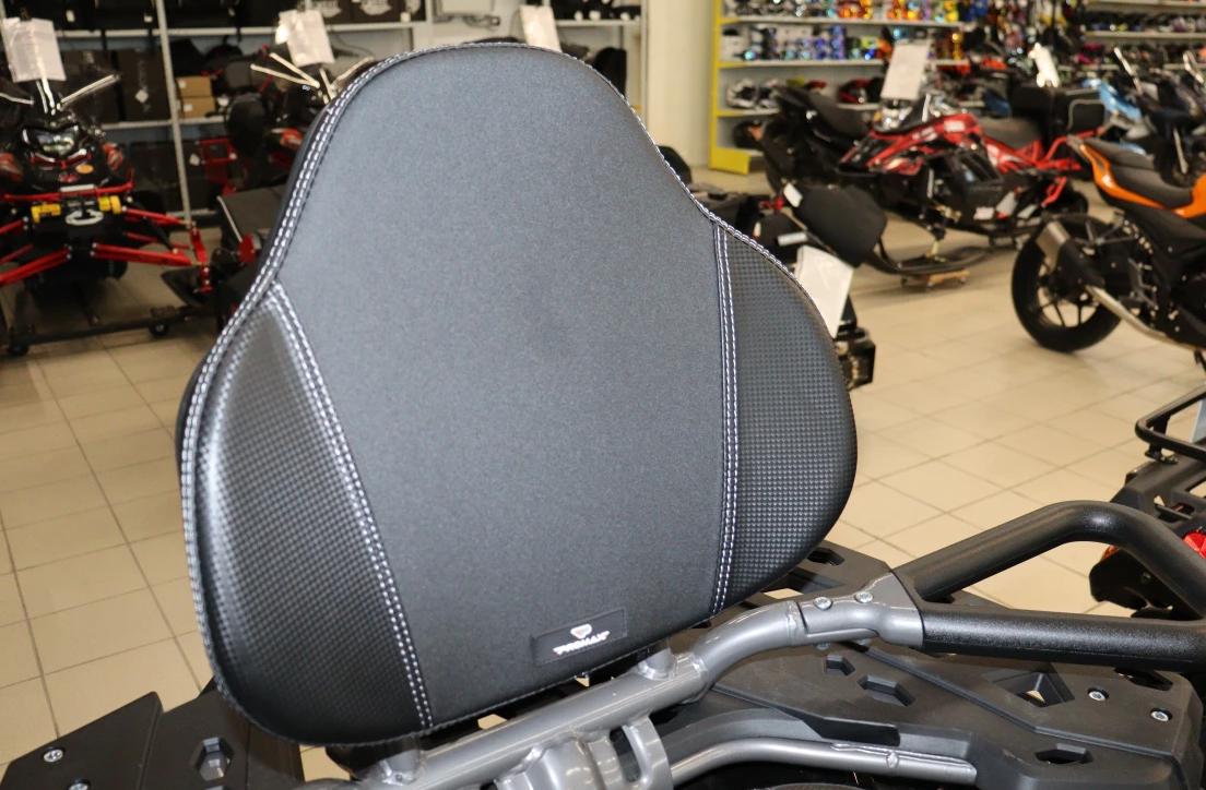 Квадроцикл PROMAX RENEGADE 300 LONG WINCH PRO (2025) в Орле