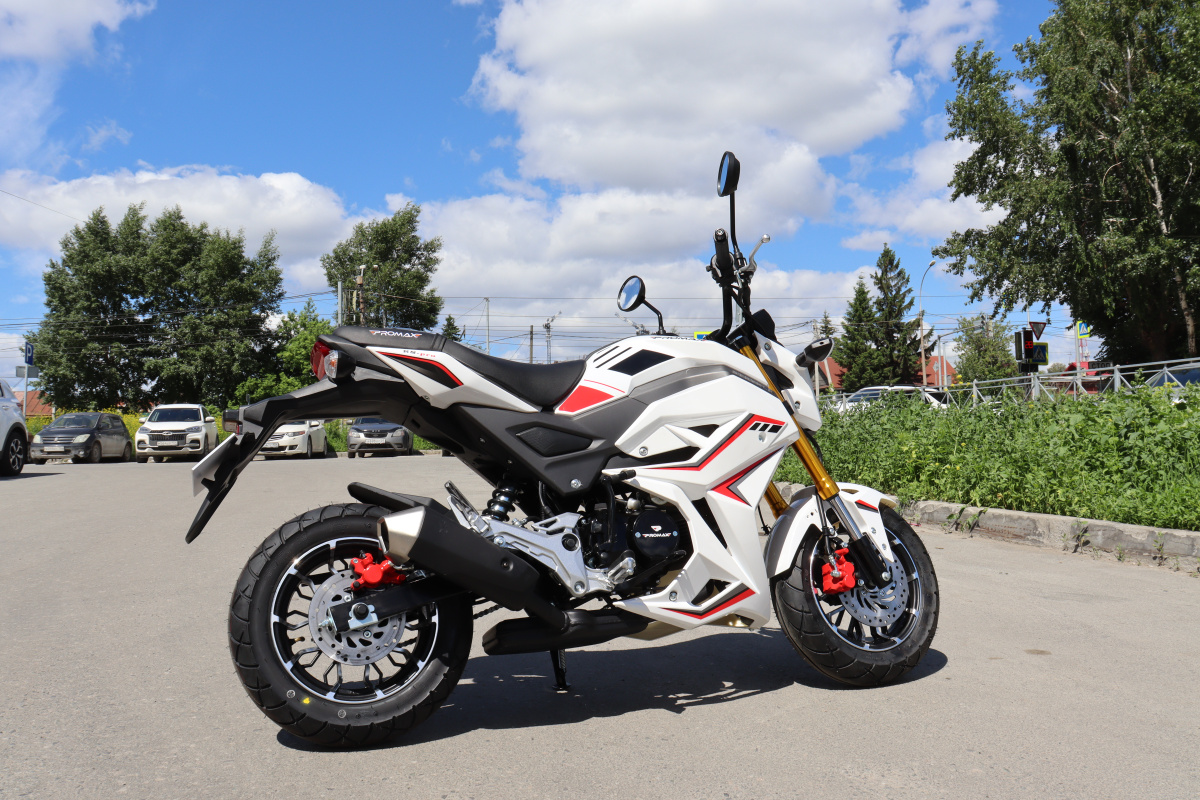 Мотоцикл PROMAX STRYKER 200(49) 2.0 в Орле