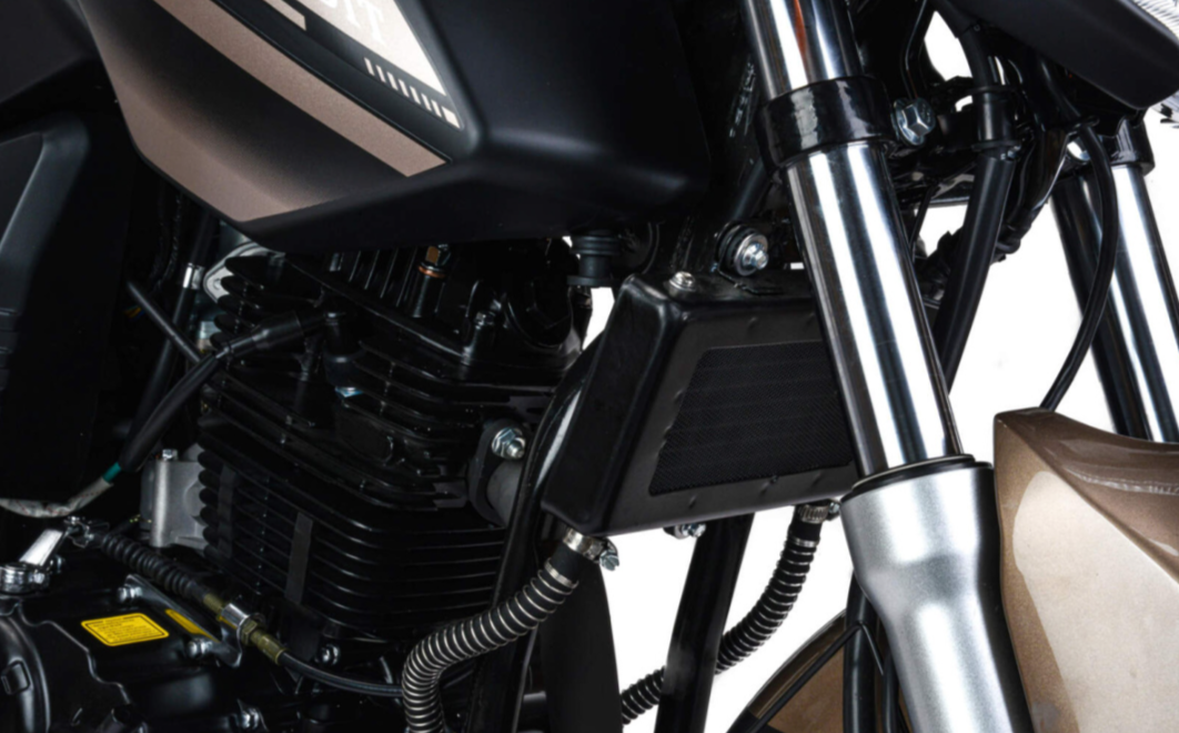 Мотоцикл MOTOLAND (МОТОЛЕНД) 300 BANDIT в Орле