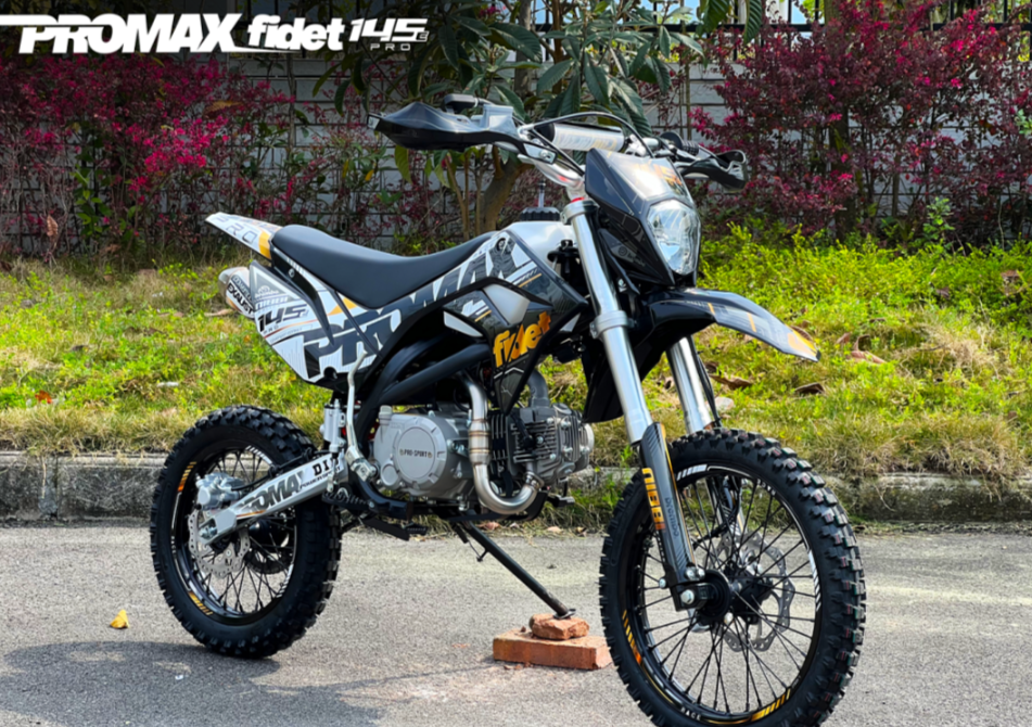 Мотоцикл (питбайк) PROMAX FIDET (ФАЙДЕТ) 145E PRO 17/14 в Орле