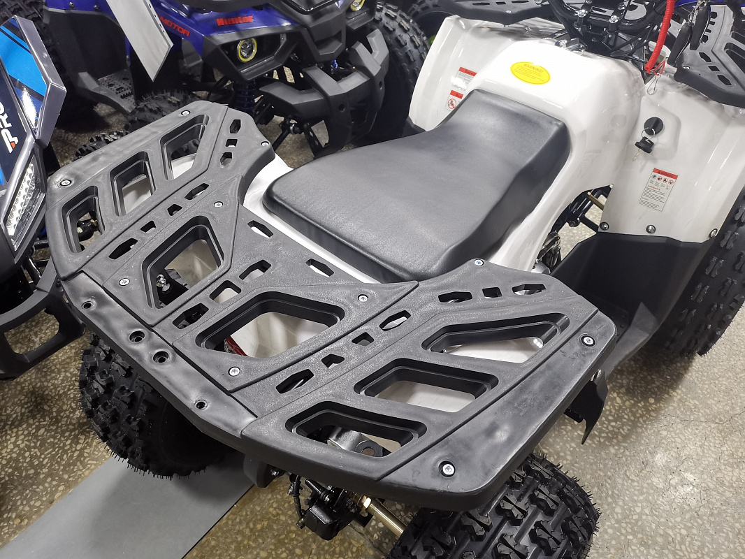 Квадроцикл PROMAX WILD 175 LUX в Орле