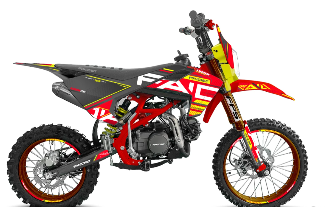 Питбайк FAIDET KAYOT 150E-PRO 19/16 в Орле