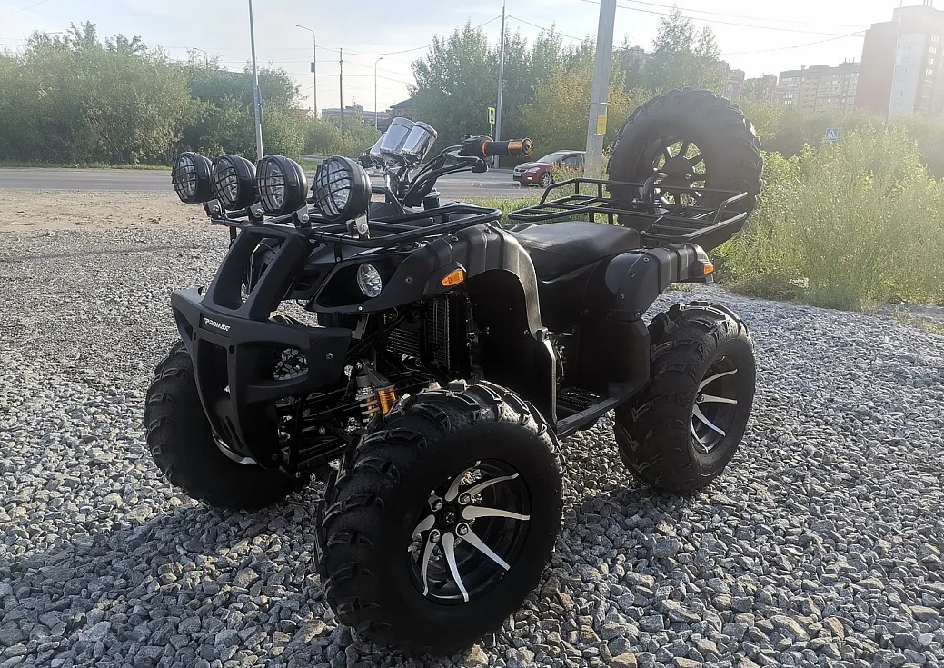 Квадроцикл PROMAX LEO 300 Max (кардан) в Орле