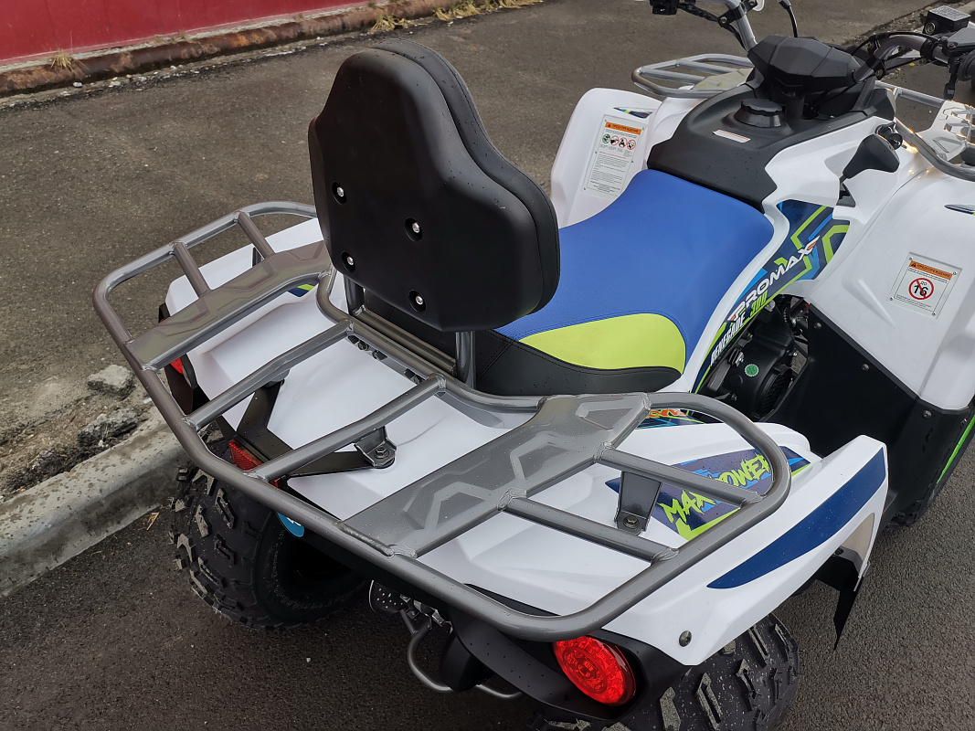 Квадроцикл PROMAX RENEGADE 280 LUX (2025) в Орле
