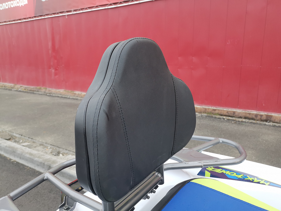 Квадроцикл PROMAX RENEGADE 280 LUX (2025) в Орле