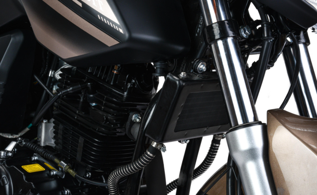 Мотоцикл MOTOLAND (МОТОЛЕНД) 300 BANDIT в Орле