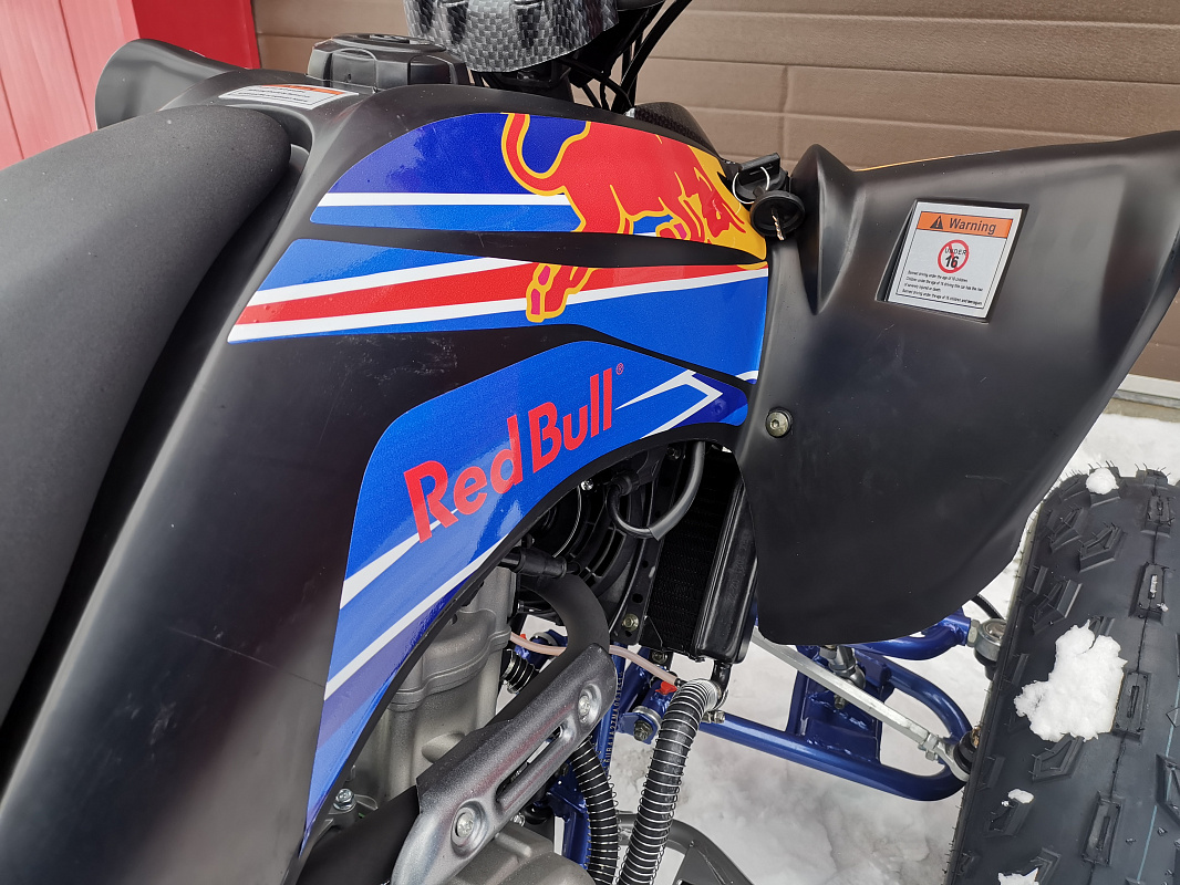Квадроцикл PROMAX RAPTOR 300 NEW RedBull в Орле