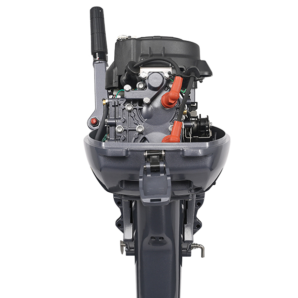 ЛОДОЧНЫЙ МОТОР ALLFA CG Т9,9 Limit в Орле