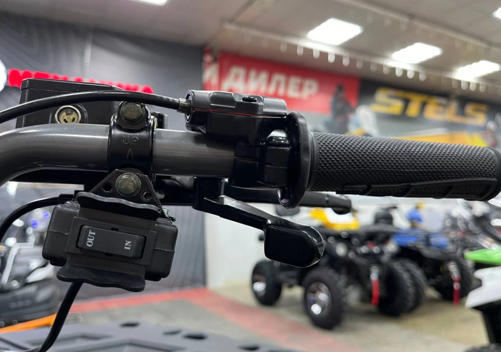 Квадроцикл PROMAX RENEGADE 300 LONG WINCH PRO (2025) в Орле