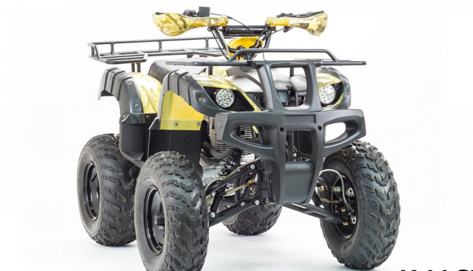 Квадроцикл MOTOLAND (МОТОЛЕНД) 250 ADVENTURE в Орле