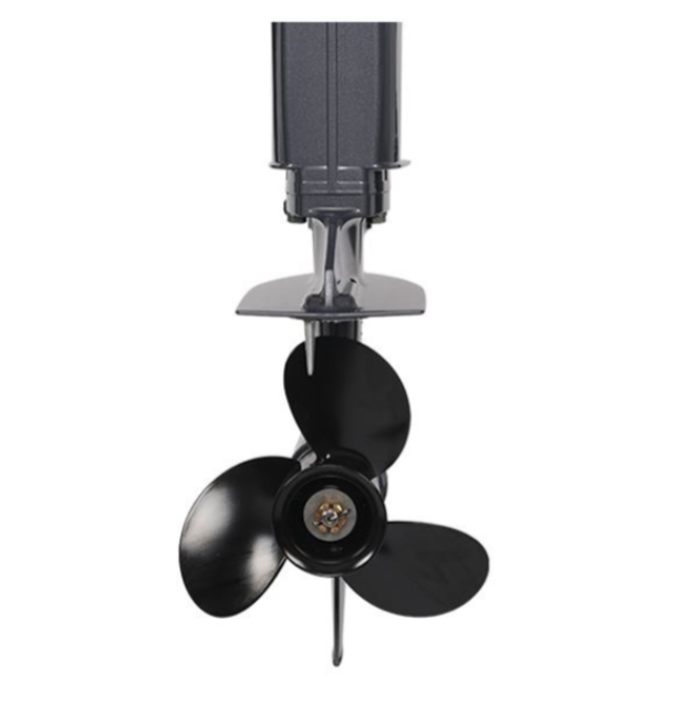 Лодочный мотор ALLFA CG Т40FW S в Орле