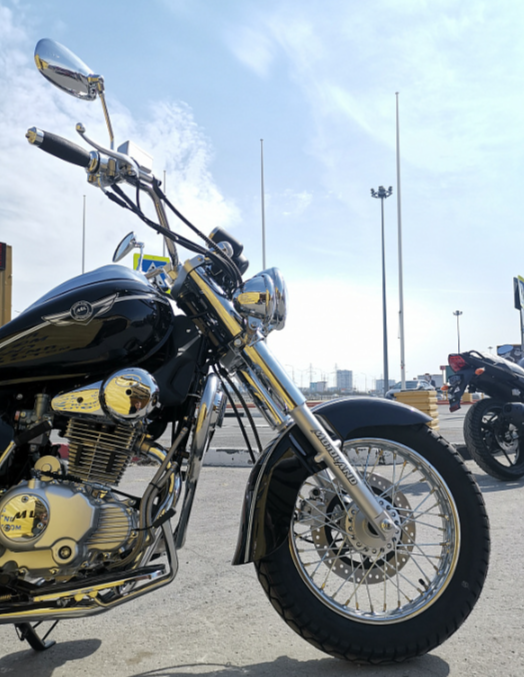 Мотоцикл MOTOLAND (МОТОЛЕНД) WOLF 250 в Орле