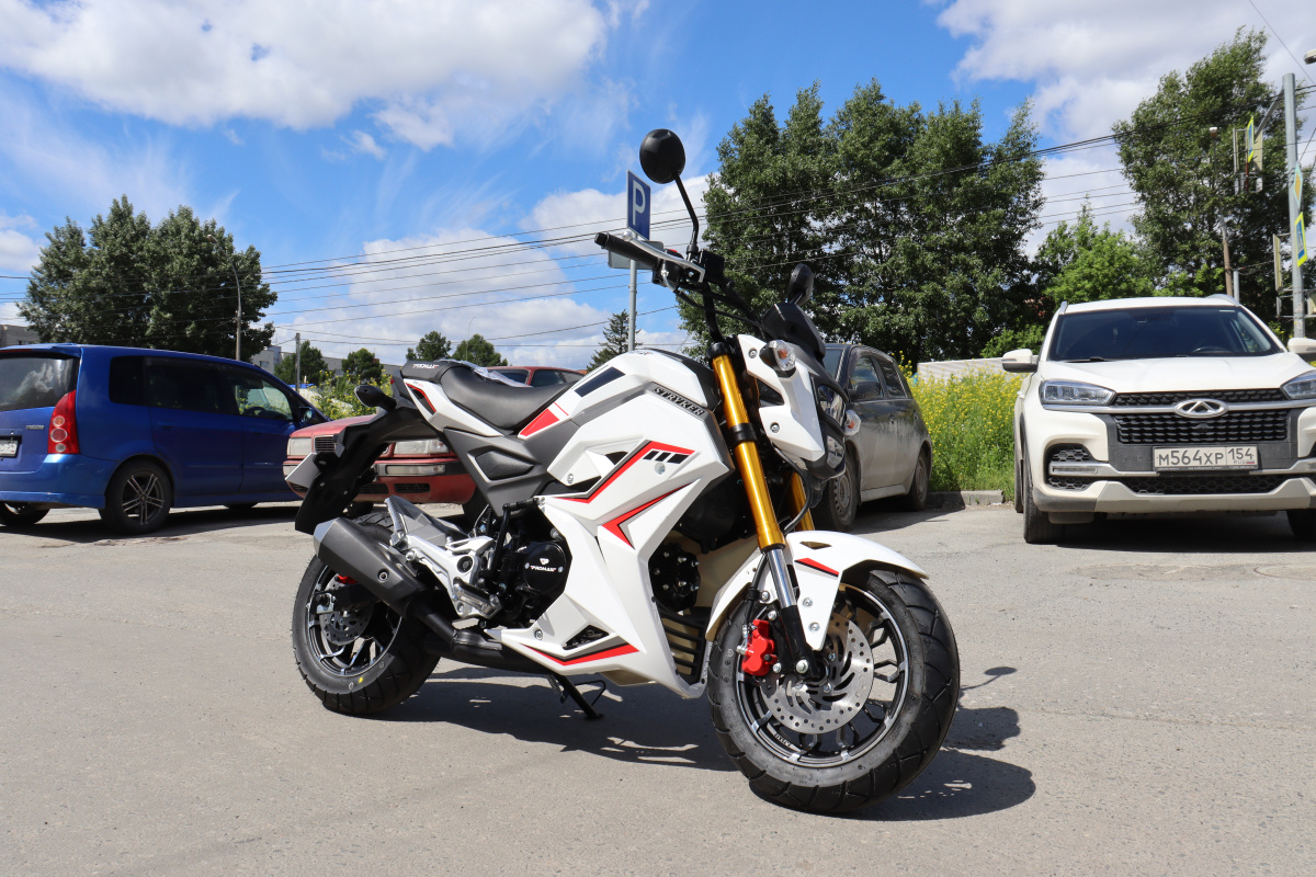 Мотоцикл PROMAX STRYKER 200(49) 2.0 в Орле