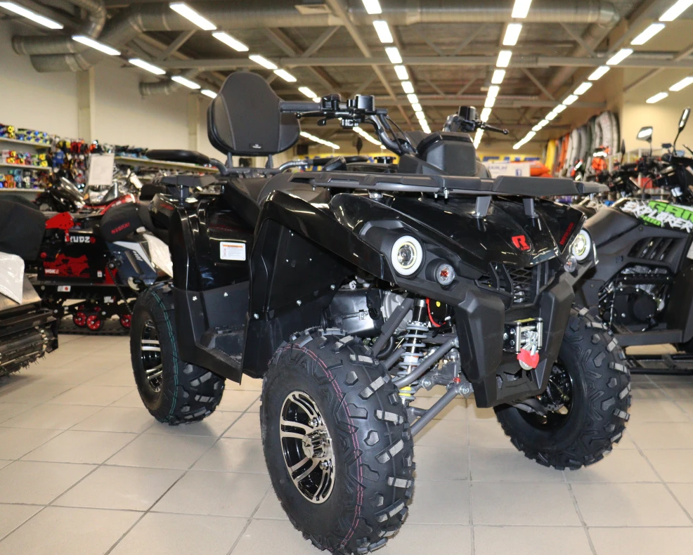 Квадроцикл PROMAX RENEGADE 300 LONG WINCH PRO (2025) в Орле