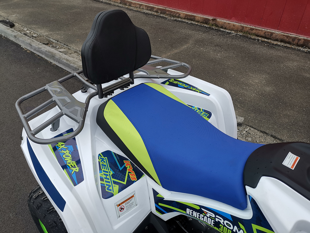Квадроцикл PROMAX RENEGADE 280 LUX (2025) в Орле