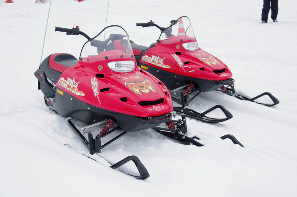 Снегоход РМ ТАЙГА РЫСЬ в Орле