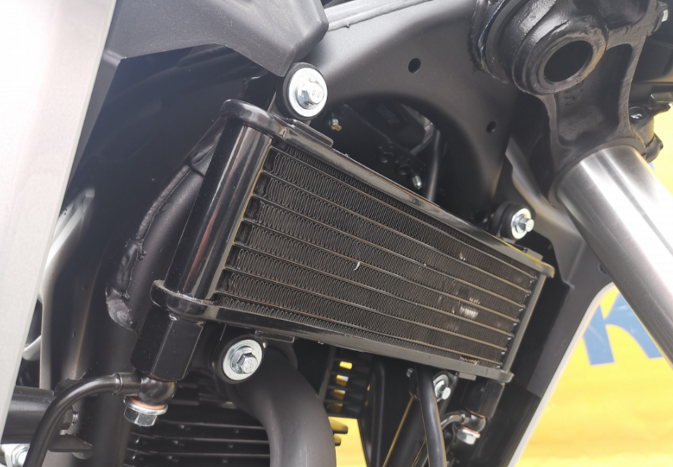 Мотоцикл MOTOLAND (МОТОЛЕНД) 250 CB250 (172FMM-5/PR250) (2022 г.) в Орле