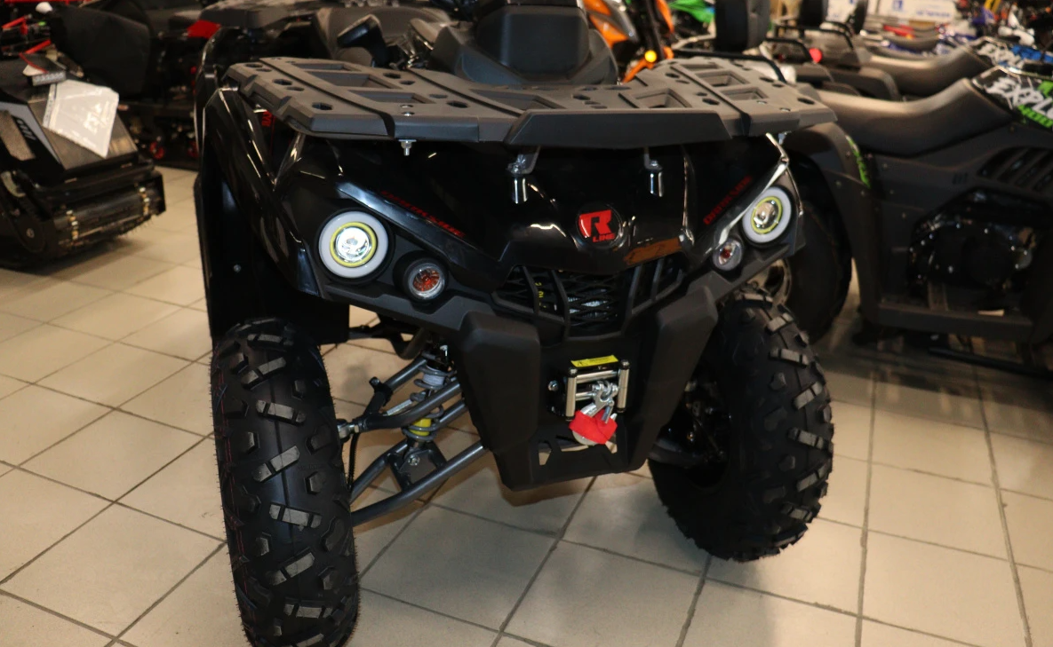 Квадроцикл PROMAX RENEGADE 300 LONG WINCH PRO (2025) в Орле