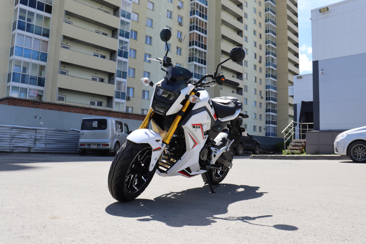 Мотоцикл PROMAX STRYKER 200(49) 2.0 в Орле
