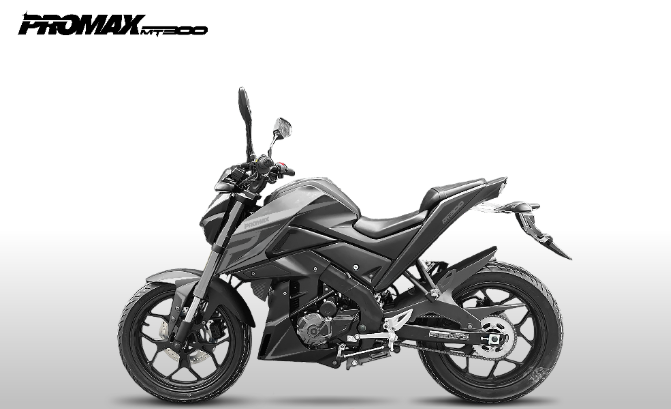 Мотоцикл PROMAX MT300 в Орле