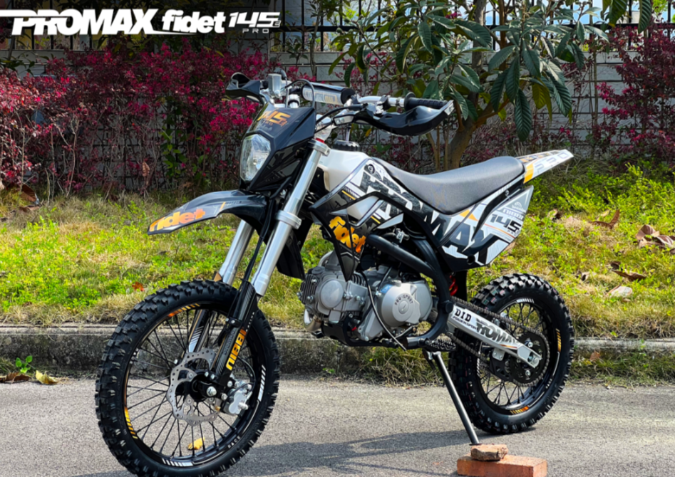 Мотоцикл (питбайк) PROMAX FIDET (ФАЙДЕТ) 145E PRO 17/14 в Орле
