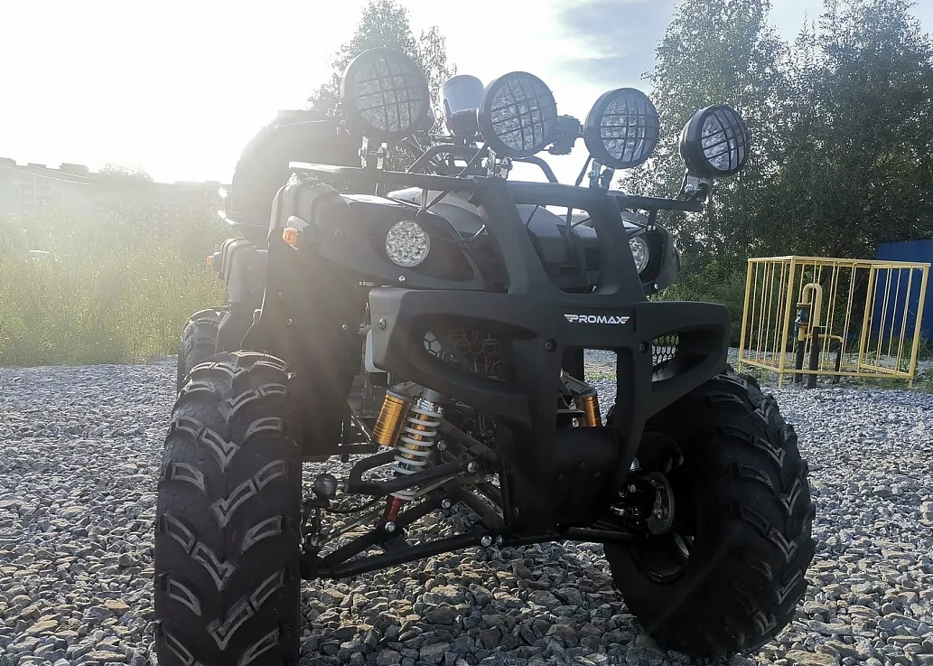 Квадроцикл PROMAX LEO 300 Max (кардан) в Орле