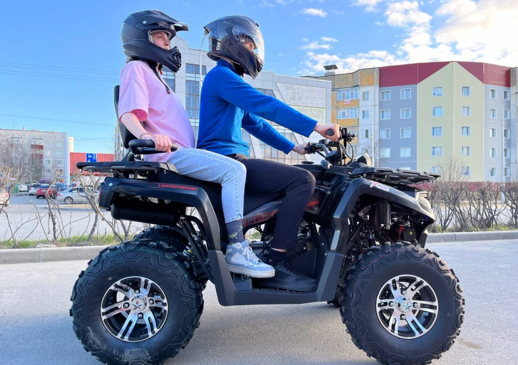 Квадроцикл PROMAX RENEGADE 300 LONG WINCH PRO (2025) в Орле