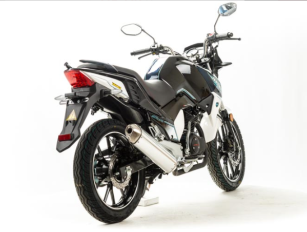 Мотоцикл MOTOLAND (МОТОЛЕНД) FIGHTER 250 в Орле