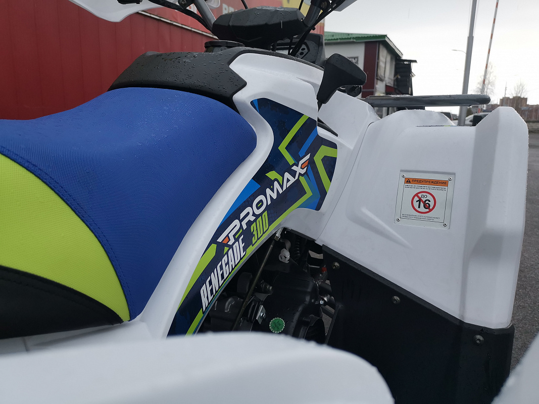 Квадроцикл PROMAX RENEGADE 280 LUX (2025) в Орле