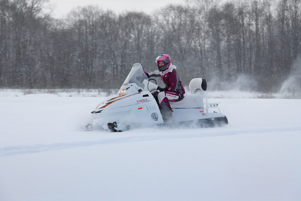 Снегоход Русская механика РМ TAYGA PATRUL 551 SWT в Орле