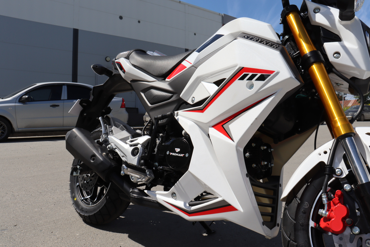 Мотоцикл PROMAX STRYKER 200(49) 2.0 в Орле