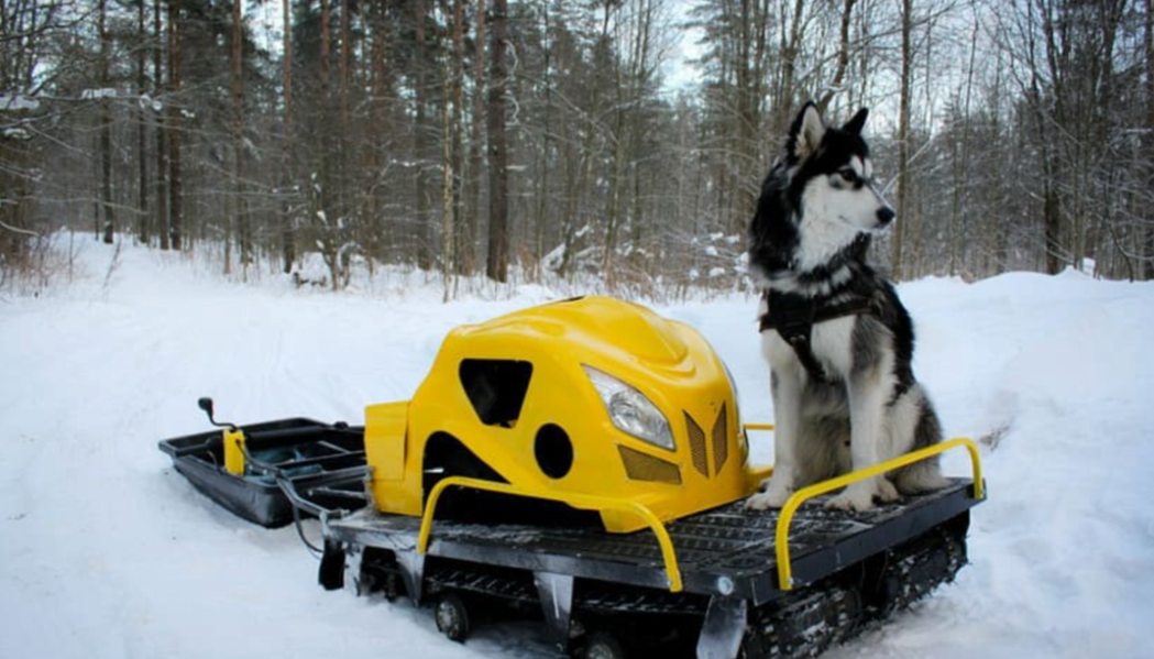 Мотобуксировщик LEBEDEV MOTORS ВОЛКОДАВ POWER V13 в Орле