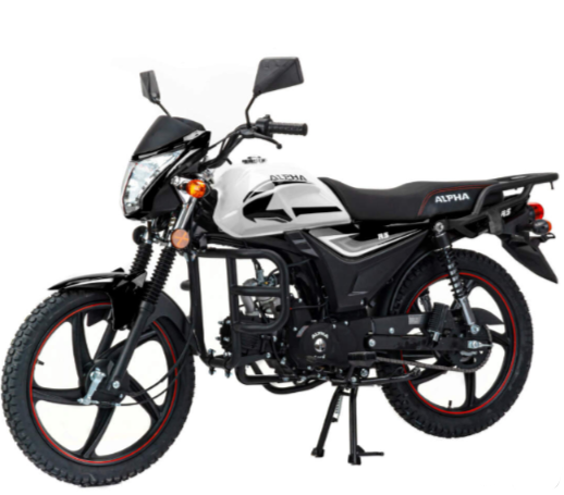 Мопед MOTOLAND (МОТОЛЕНД) Альфа RS 11 (LM48-B) в Орле
