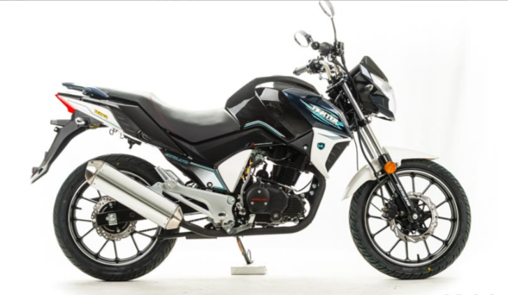 Мотоцикл MOTOLAND (МОТОЛЕНД) FIGHTER 250 в Орле