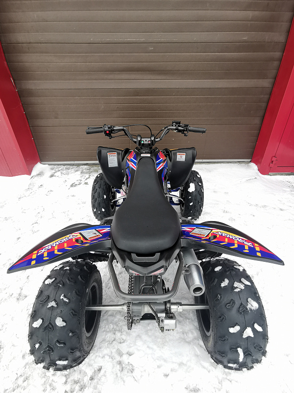 Квадроцикл PROMAX RAPTOR 300 NEW RedBull в Орле
