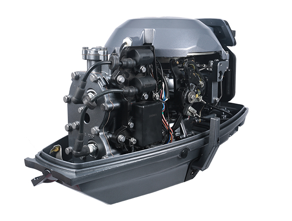 ЛОДОЧНЫЙ МОТОР ALLFA CG T30 FW S в Орле