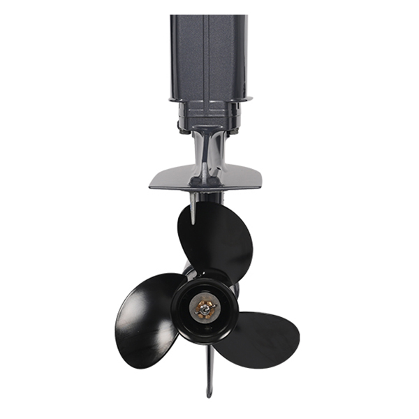 ЛОДОЧНЫЙ МОТОР ALLFA CG T30 FW S в Орле