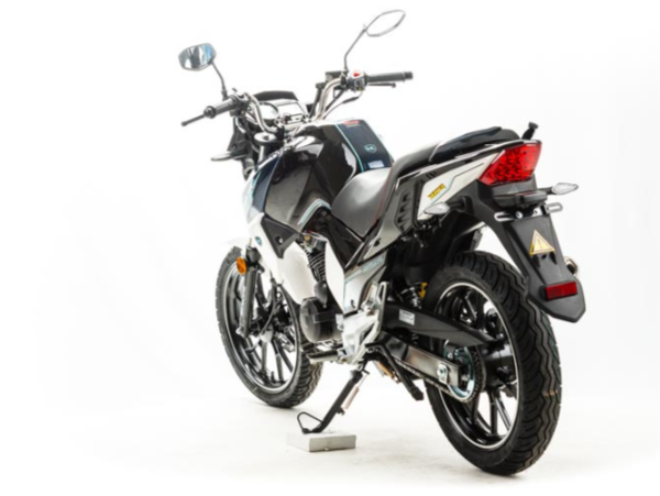 Мотоцикл MOTOLAND (МОТОЛЕНД) FIGHTER 250 в Орле