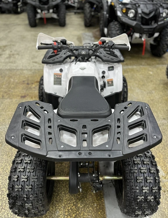 Квадроцикл PROMAX WILD 2.0 190 в Орле