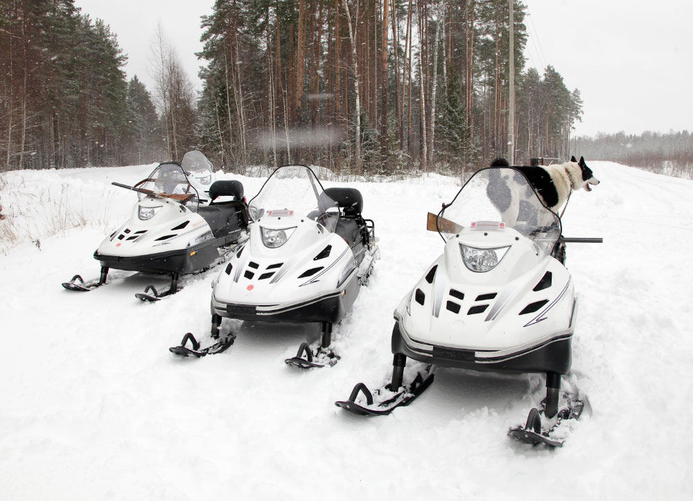 Снегоход Русская механика РМ ТАЙГА ВАРЯГ 550 V в Орле