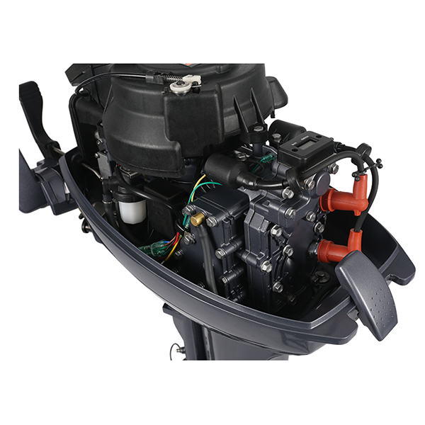 ЛОДОЧНЫЙ МОТОР ALLFA CG Т9,9 Limit в Орле