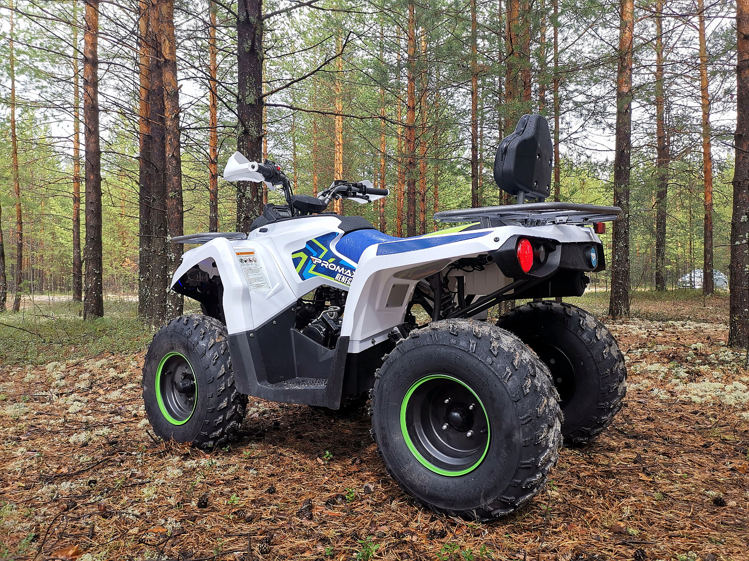 Квадроцикл PROMAX RENEGADE 280 (2025) в Орле