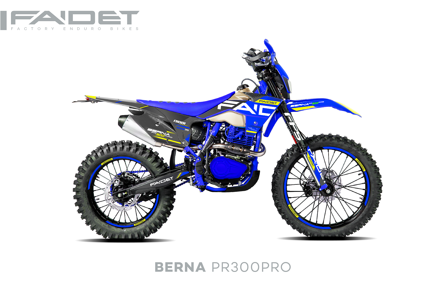 Кроссовый мотоцикл FAIDET BERNA PR300-PRO FPS в Орле