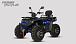 Квадроцикл PROMAX TAURUS 300 MAX-PRO LONG в Орле