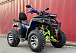  Квадроцикл PROMAX ATV 250 MAX (2025) в Орле