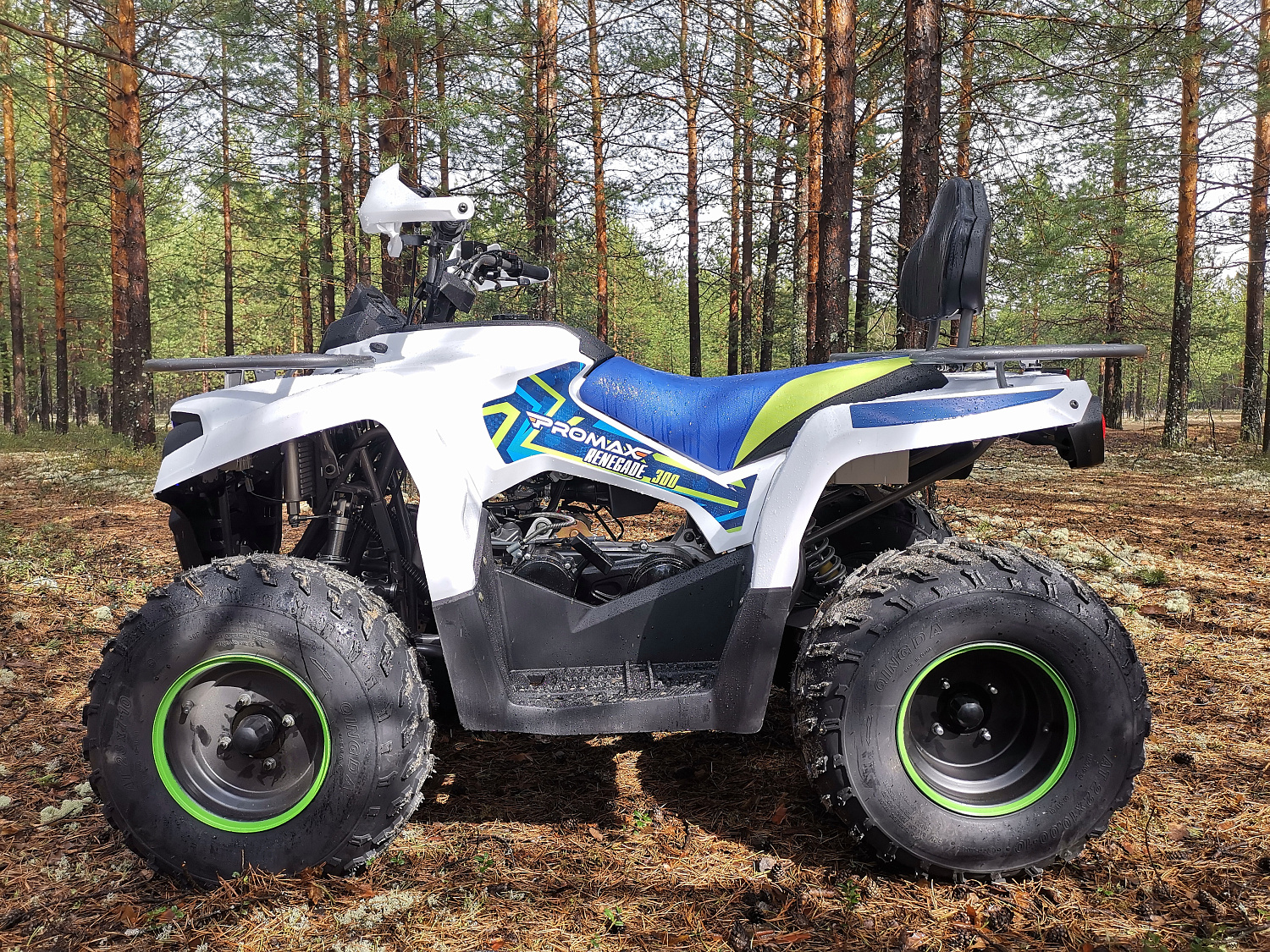 Квадроцикл PROMAX RENEGADE 280 (2025) в Орле