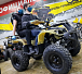 Квадроцикл PROMAX ATV 250 (2025) в Орле