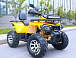 Квадроцикл MOTOLAND (МОТОЛЕНД) VOX200 WILD TRACK X PRO (баланс. вал) в Орле