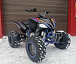 Квадроцикл PROMAX RAPTOR 300 NEW RedBull в Орле