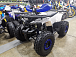 Квадроцикл PROMAX WILD 175 LUX в Орле